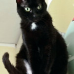 02fd1dc9-913b-42a7-b9ed-bffecb1f74ba