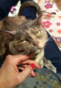 20160507_214138_001-2