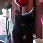 3c8bf265-893c-40d5-9506-2e69ed12ac3f