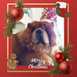 56fb0449-af12-46ad-9268-135b59bb4466