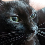 d3de81df-3f97-4833-a62f-3c11ee5fc0cd