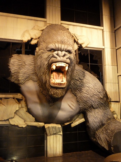 king-kong-472134_640