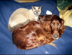 3CEA0B0E-3E15-4D28-915A-1708BD4B6622