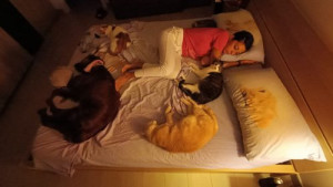 421f2a5f-d710-41b9-8727-ed5ad640f9d4