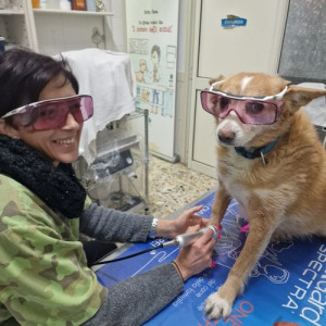 88aaad70-7242-4be3-853a-eb06a6b7b593