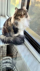 ce08cb3c-3d4e-44f9-894c-5d65621d6e9f