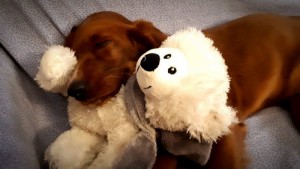 edef63fb-2102-492f-bbe7-629646571666